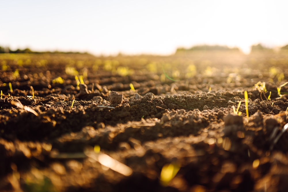 EIT Smart campo coltivato